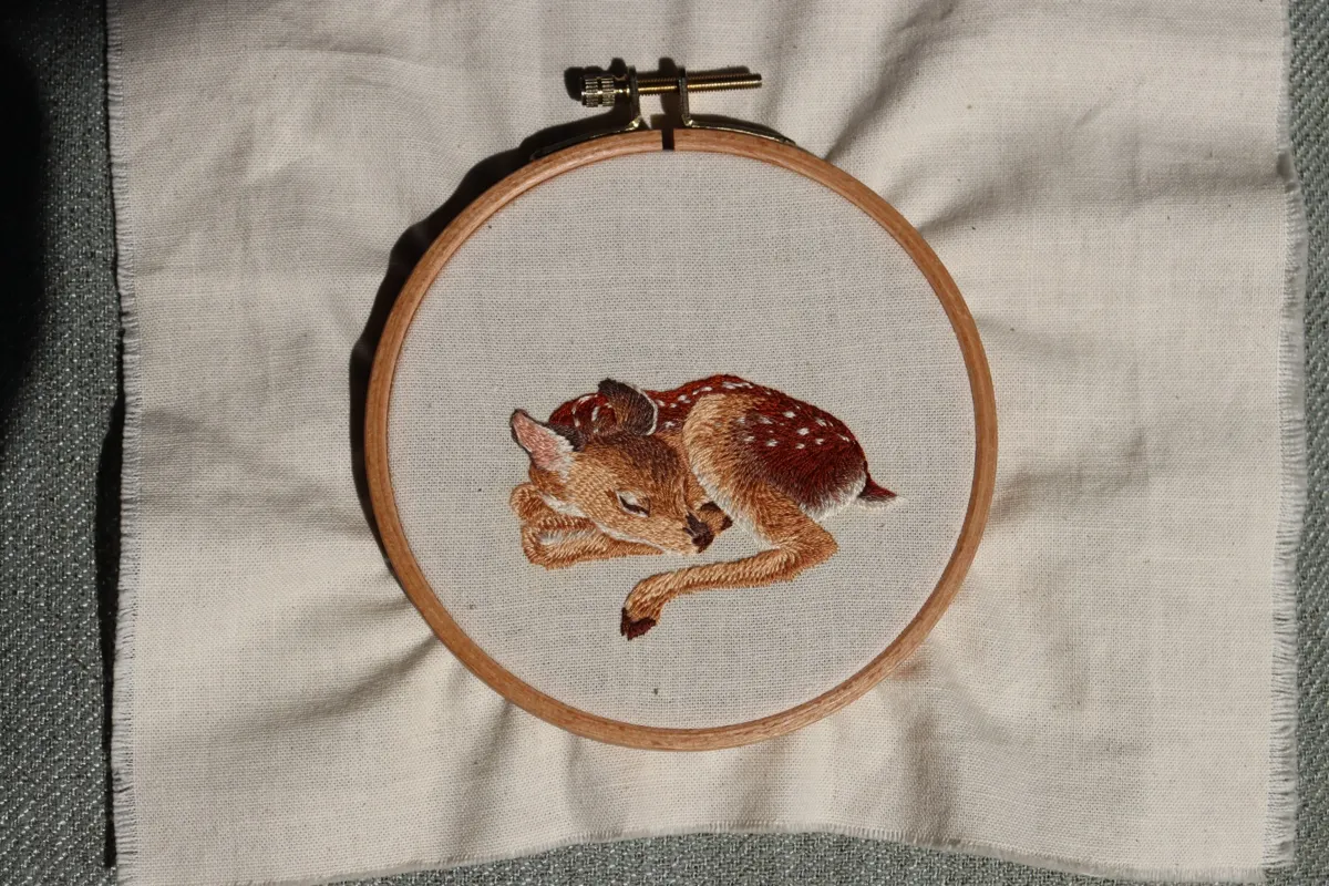 子鹿のうたた寝